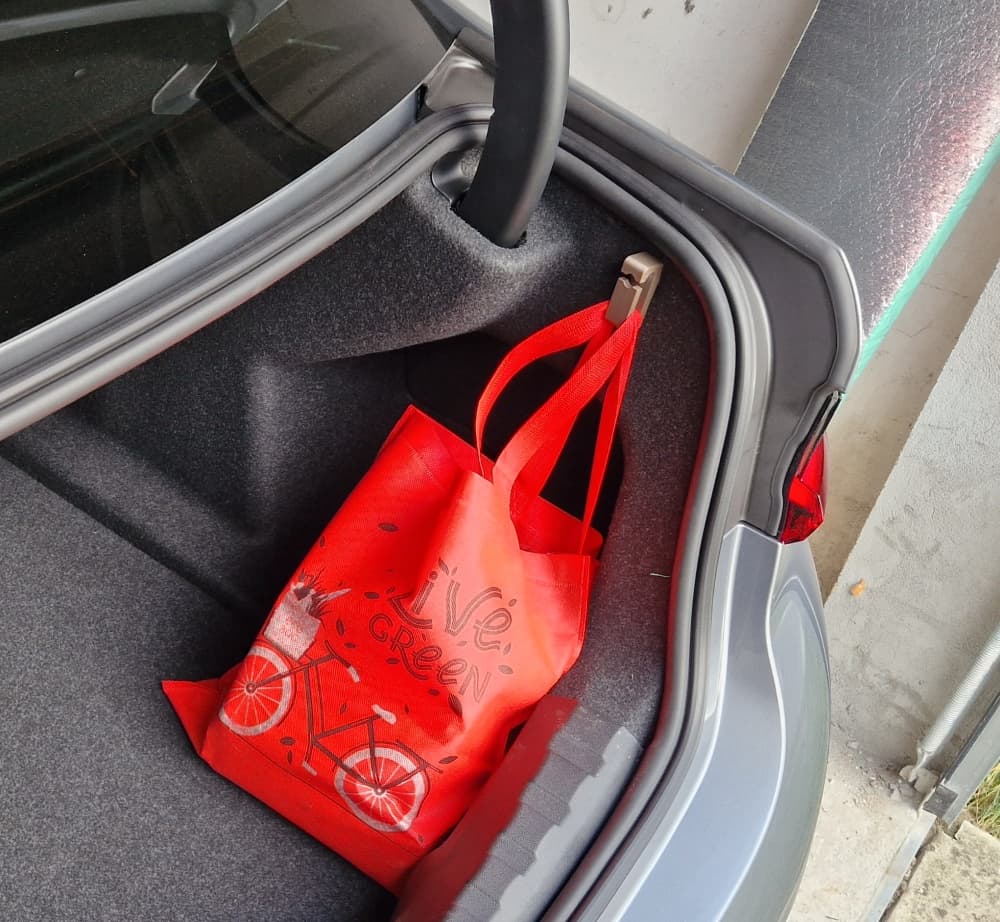 Trunk Bag Hook